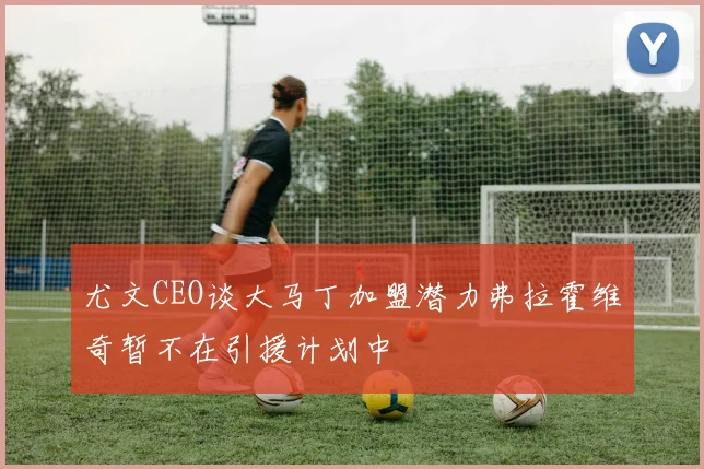 尤文CEO谈大马丁加盟潜力弗拉霍维奇暂不在引援计划中